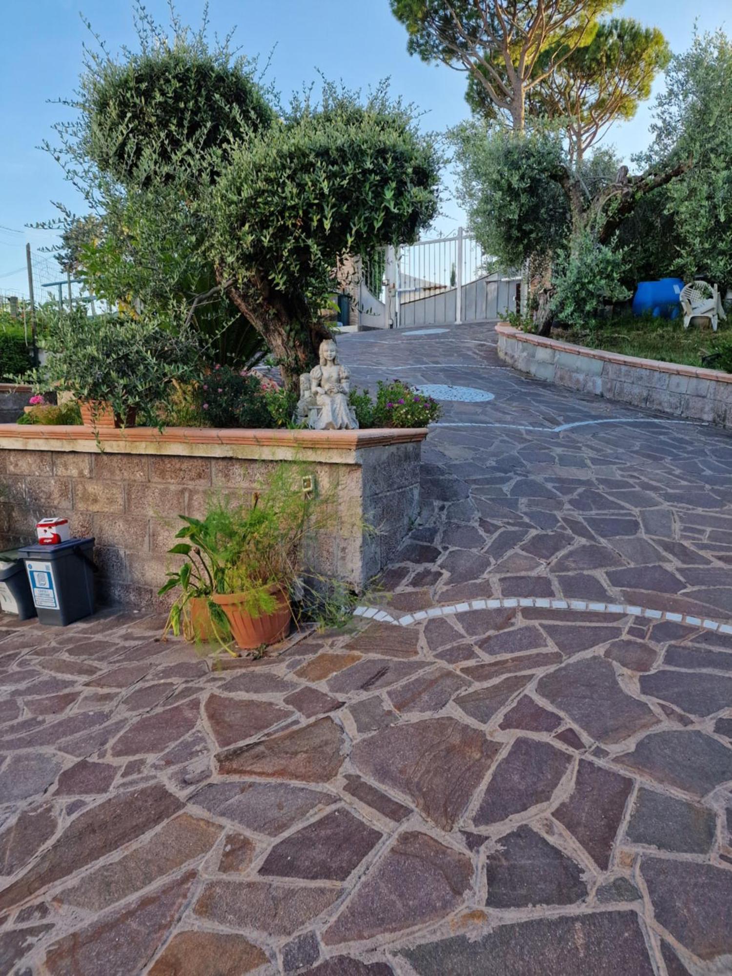 La Casa Tra Gli Ulivi Di Fonte Nuova 2 Villa Mentana Eksteriør bilde